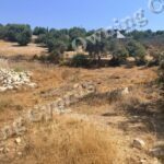 Plot in Peristerona