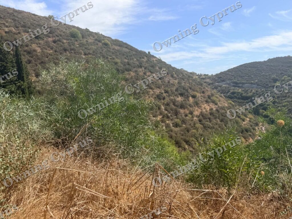 Plot in Tsada