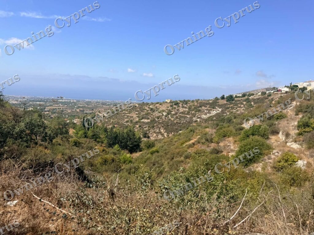 Plot in Tsada