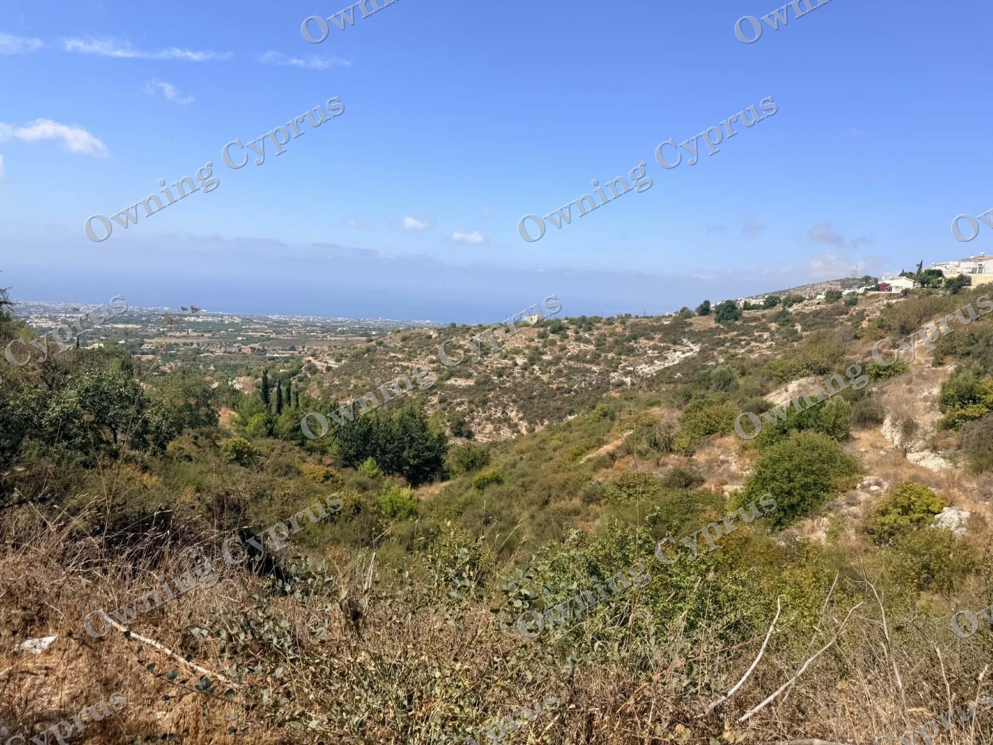 Plot in Tsada