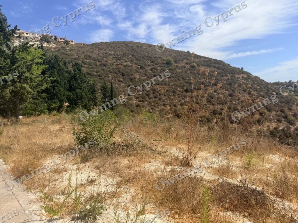 Plot in Tsada