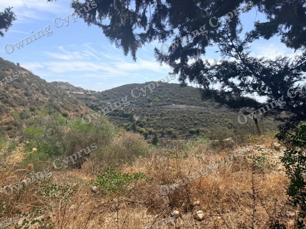 Plot in Tsada