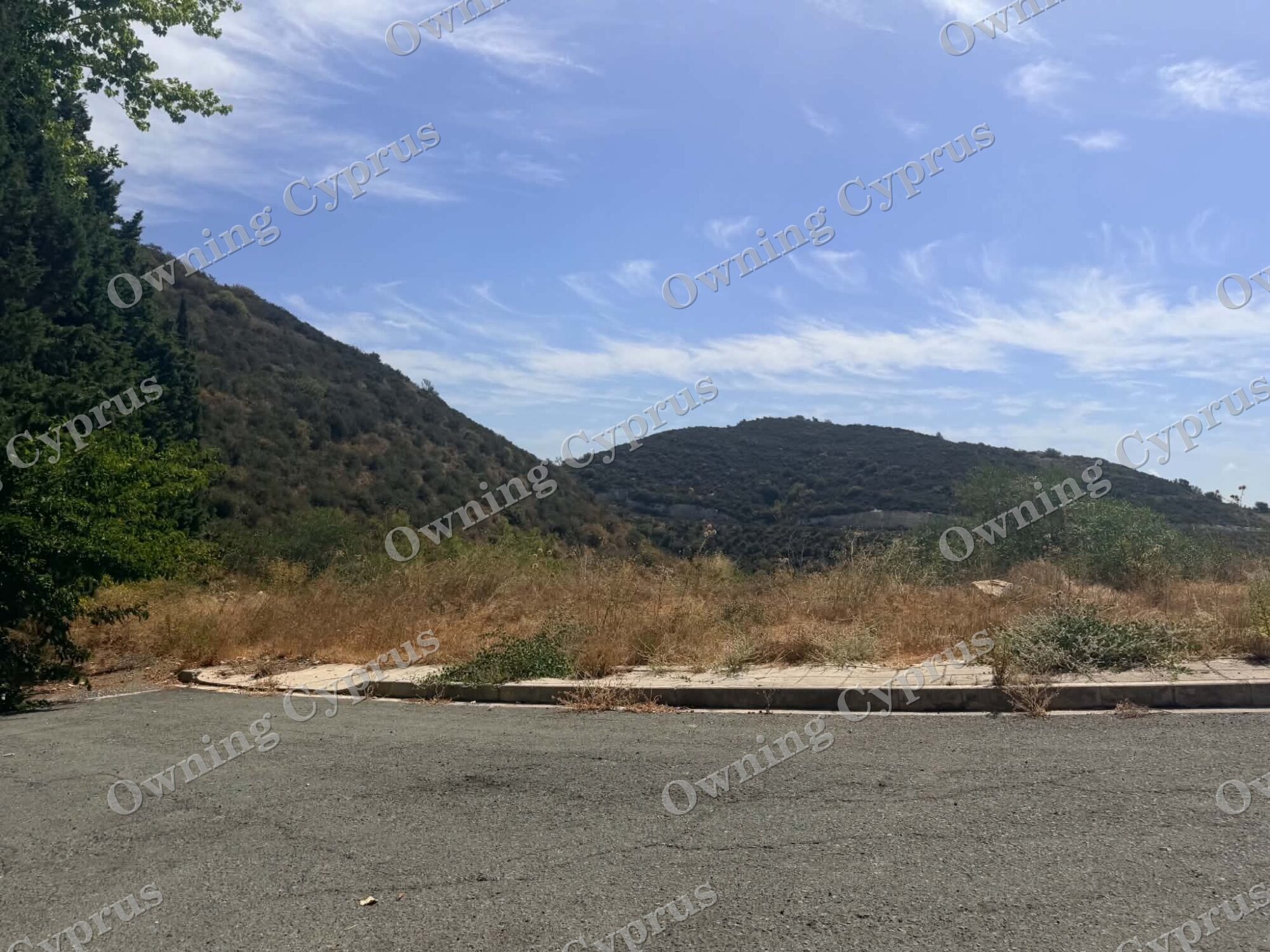 Plot in Tsada