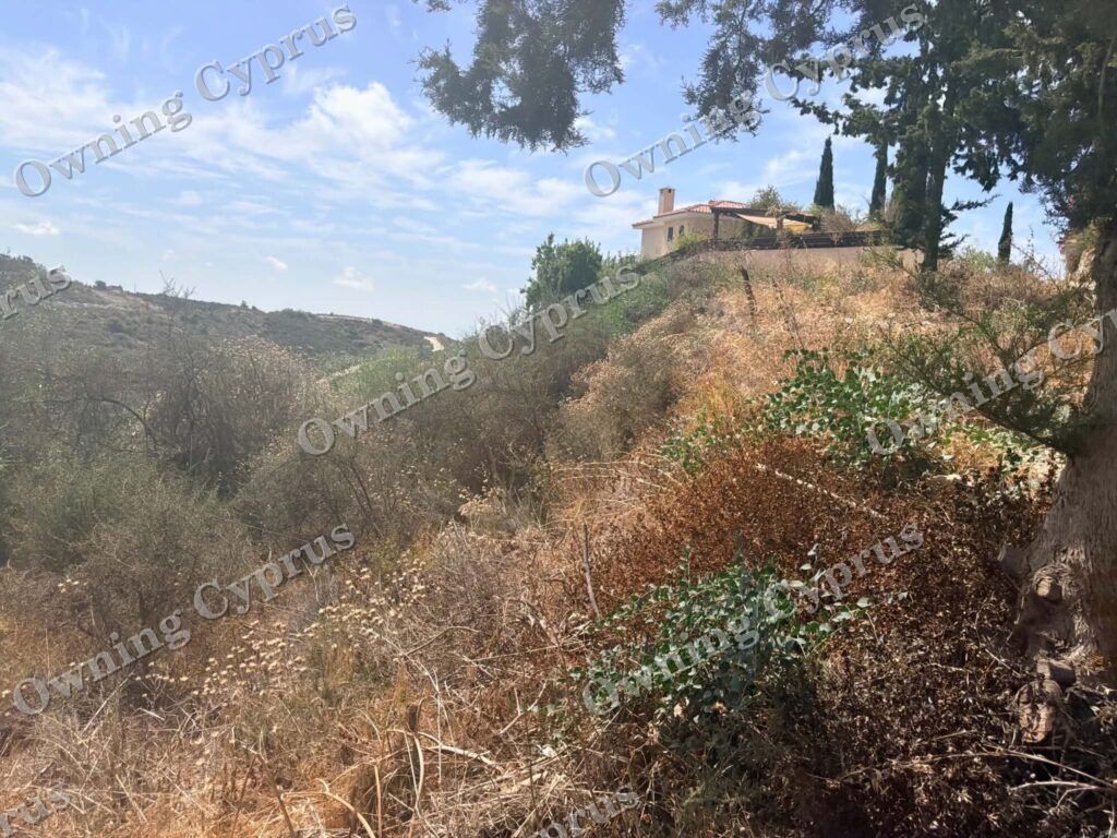 Plot in Tsada