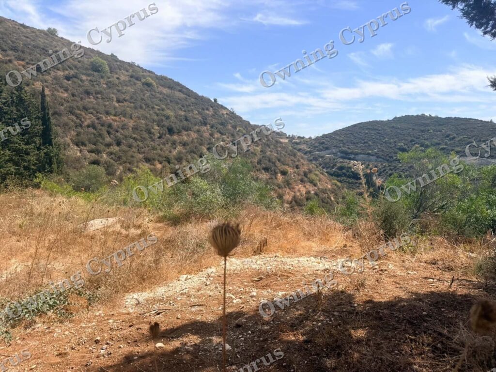 Plot in Tsada