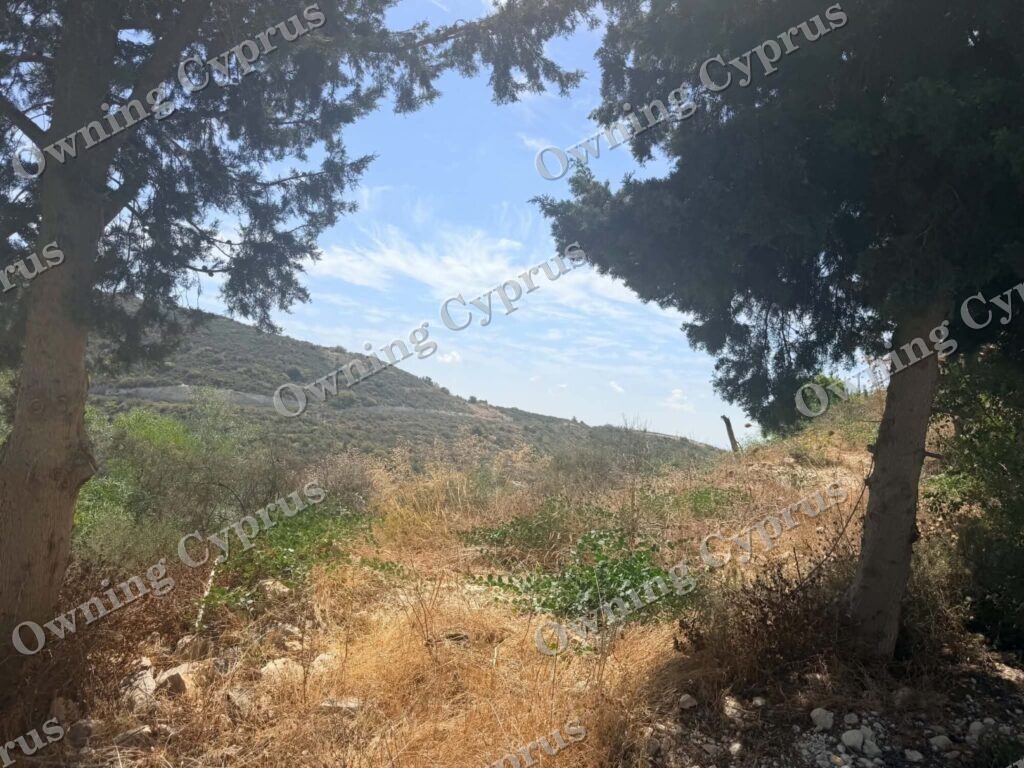 Plot in Tsada
