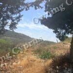 Plot in Tsada