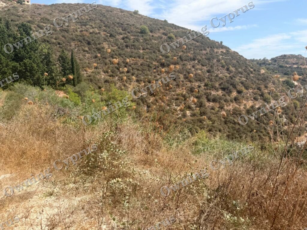 Plot in Tsada
