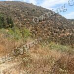 Plot in Tsada