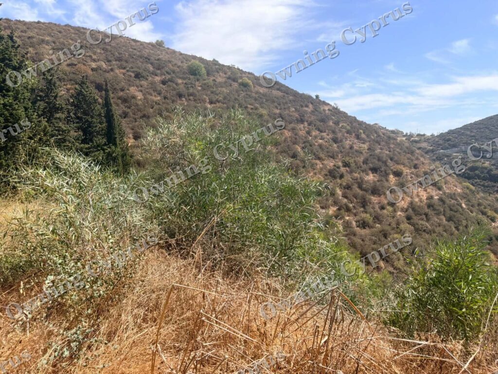 Plot in Tsada