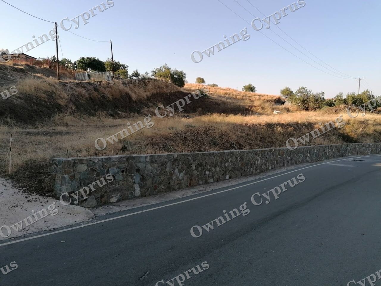Field in Pano Pyrgos
