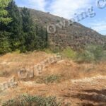 Plot in Tsada