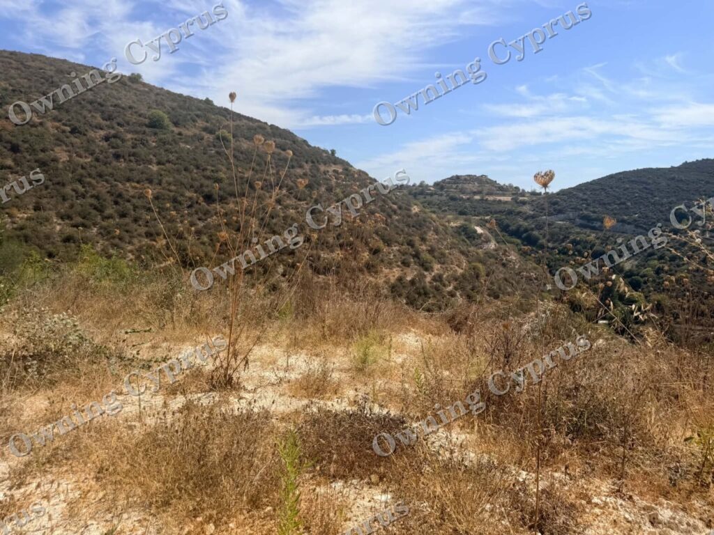 Plot in Tsada