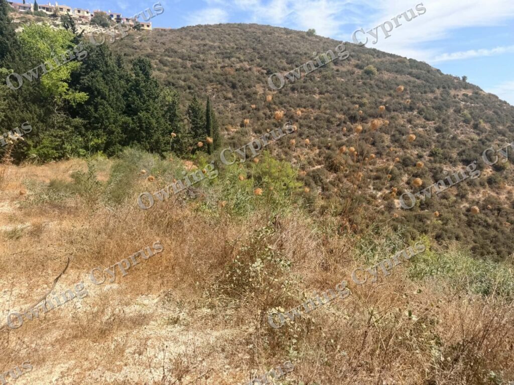 Plot in Tsada