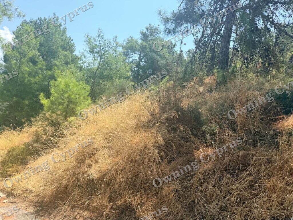 Field in Argaka