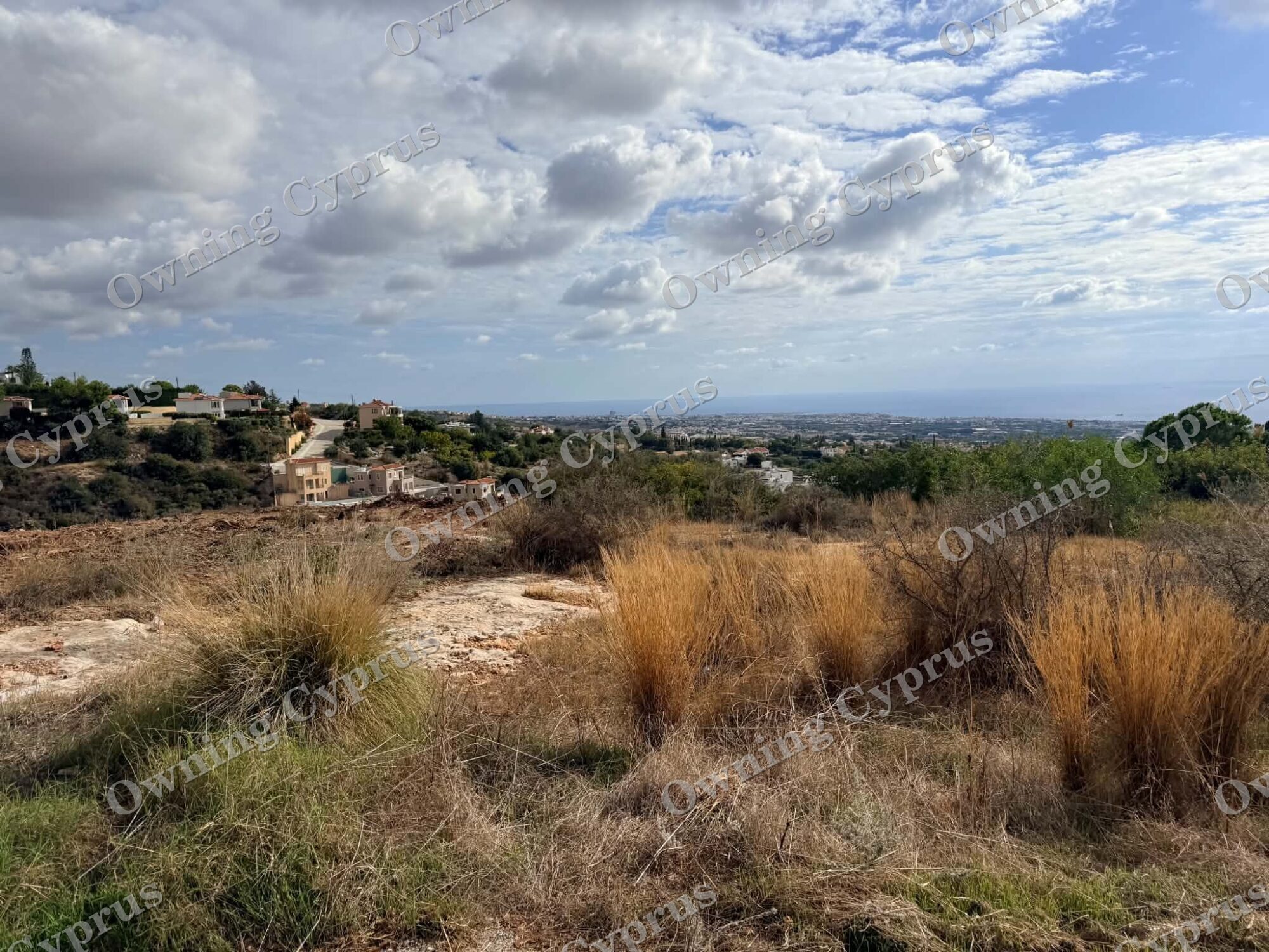 Field in Tala
