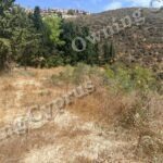 Plot in Tsada