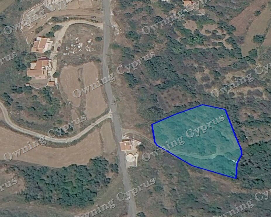 Field in Pomos
