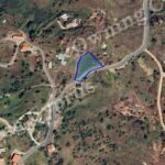 Field in Pano Pyrgos