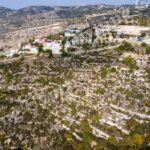 Field for sale, Tsada - PR12316