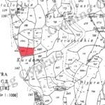 Field for sale, Theletra - PR38059