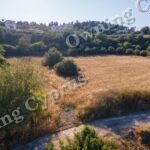 Field for sale, Theletra - PR38059