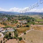 Field for sale, Polemi - PR38568