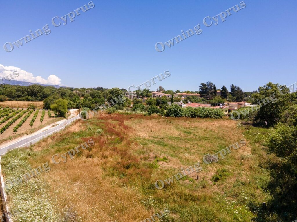 Field for sale, Polemi - PR38568