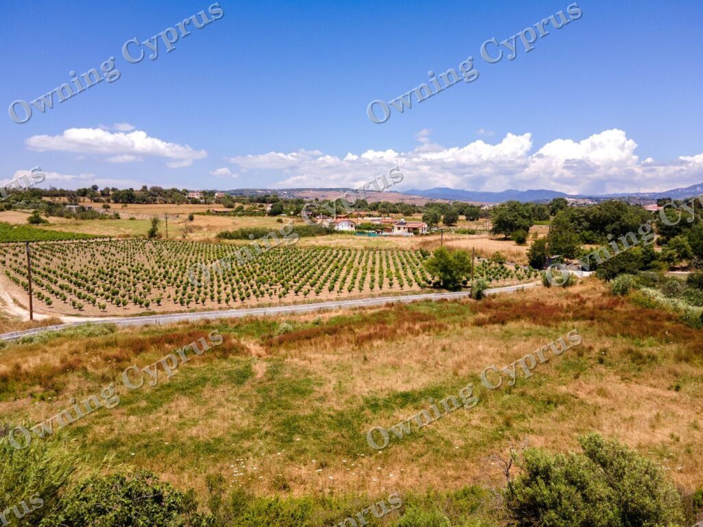 Field for sale, Polemi - PR38568