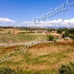Field for sale, Polemi - PR38568