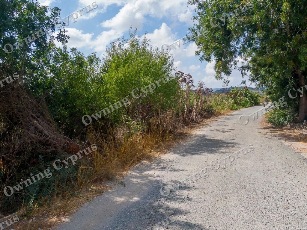 Field for sale, Polemi - PR43094