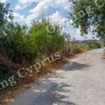 Field for sale, Polemi - PR43094
