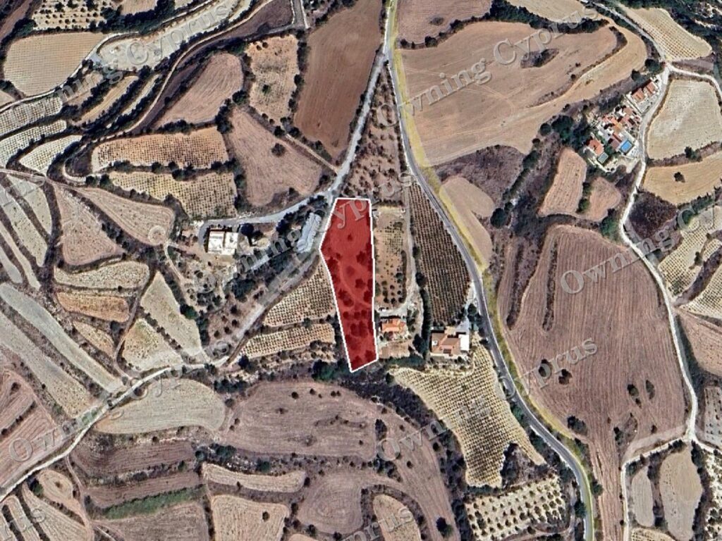 Field for sale, Polemi - PR43094