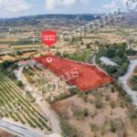 Field for sale, Polemi - PR43094