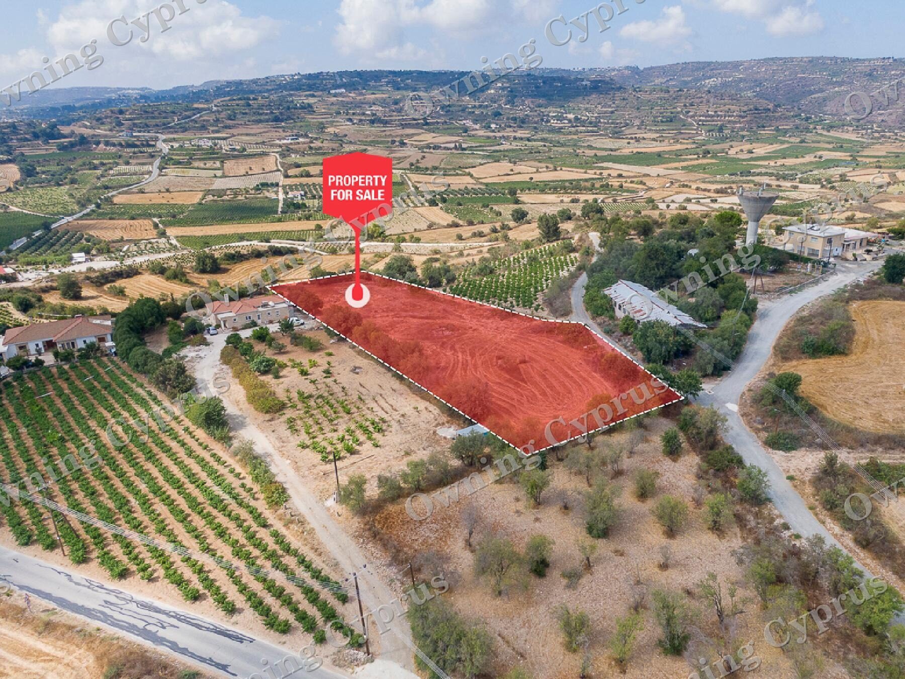 Field for sale, Polemi - PR43094