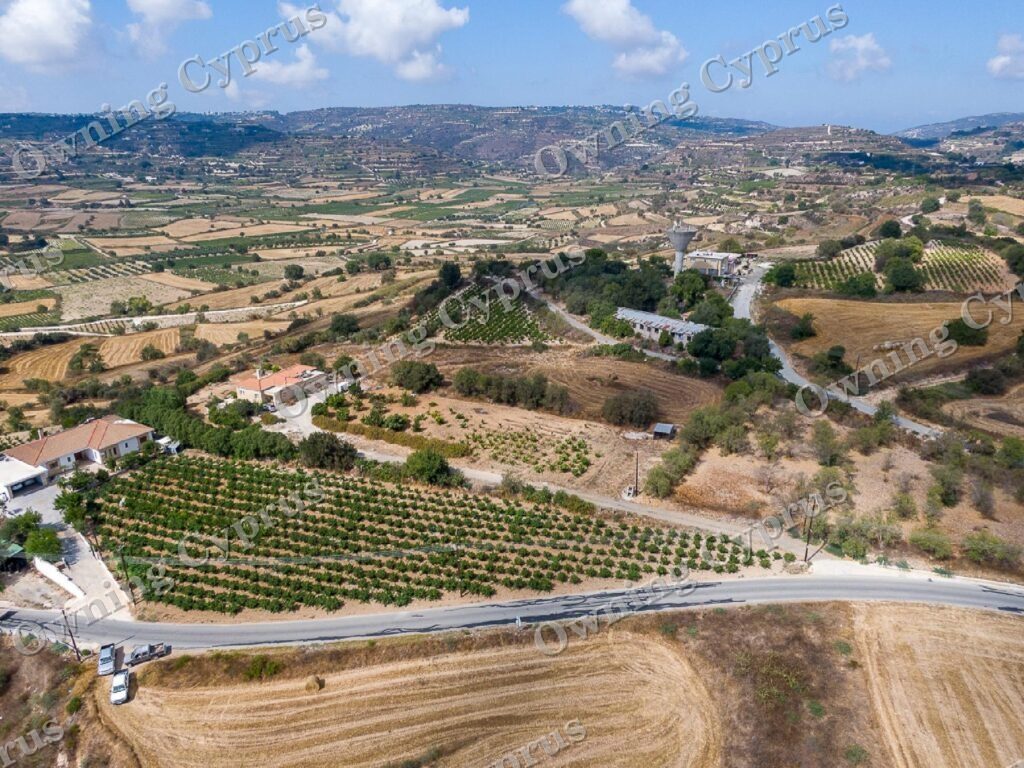 Field for sale, Polemi - PR43094