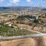 Field for sale, Polemi - PR43094