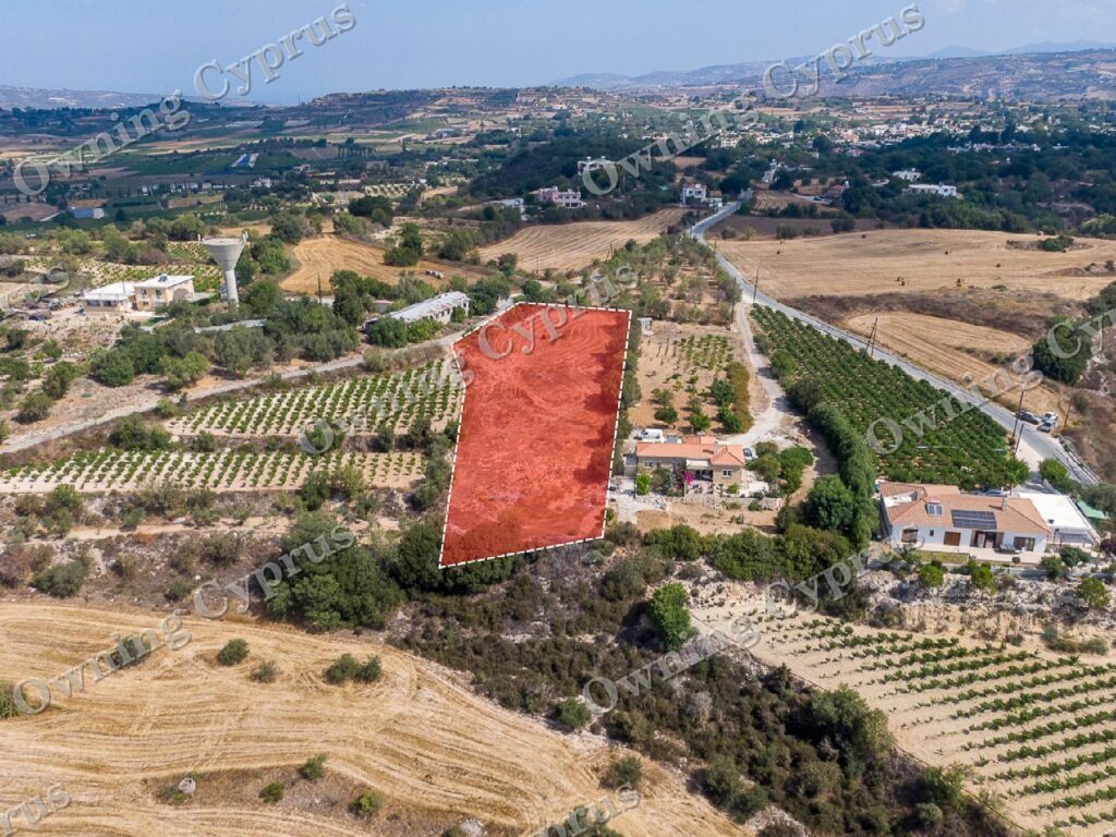 Field for sale, Polemi - PR43094