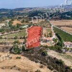 Field for sale, Polemi - PR43094