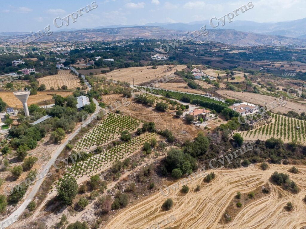 Field for sale, Polemi - PR43094
