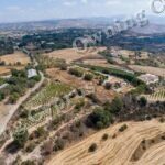 Field for sale, Polemi - PR43094