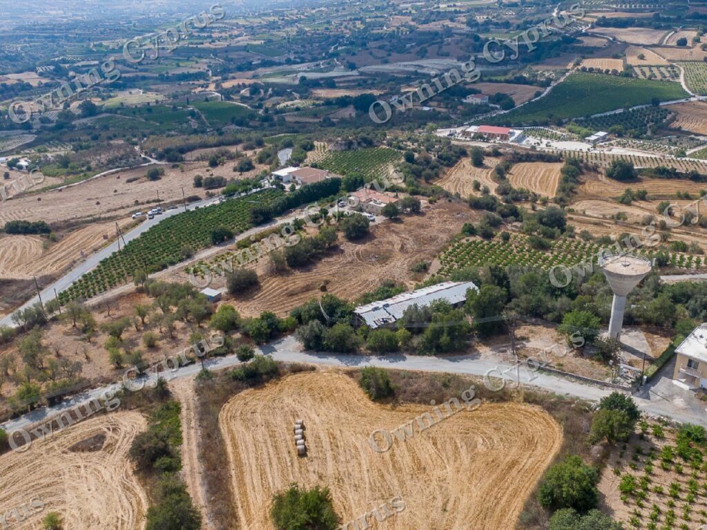 Field for sale, Polemi - PR43094