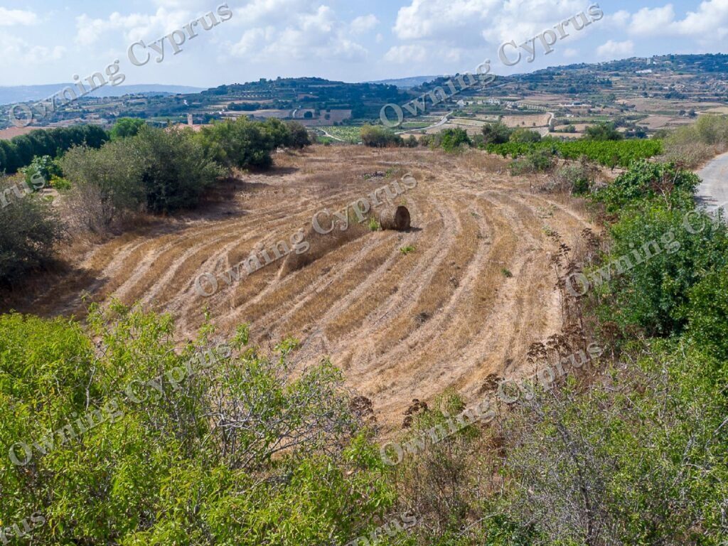 Field for sale, Polemi - PR43094