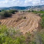 Field for sale, Polemi - PR43094