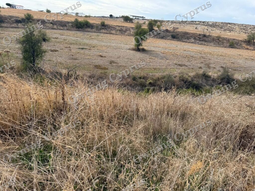 Field in Anarita