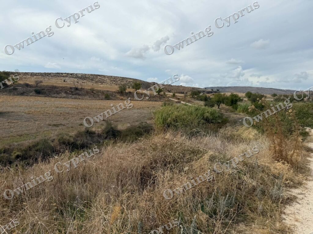 Field in Anarita