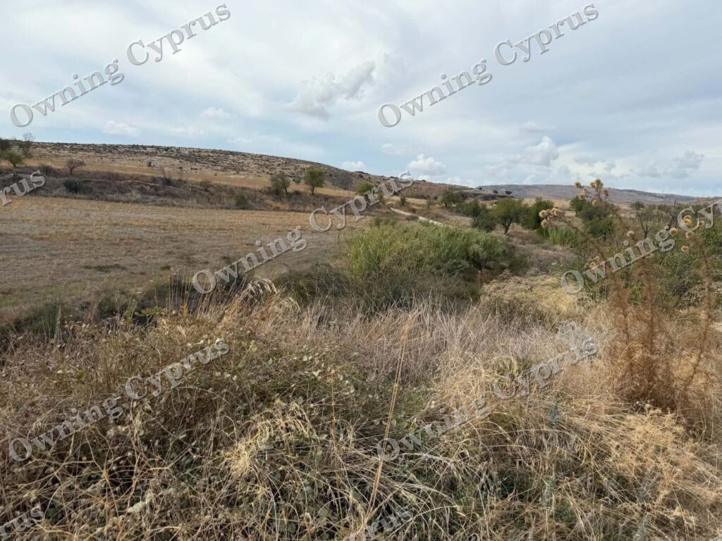 Field in Anarita