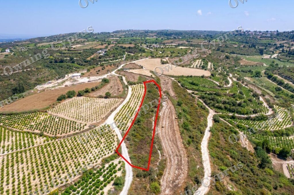 Field in Kathikas