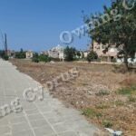 Field in Paphos