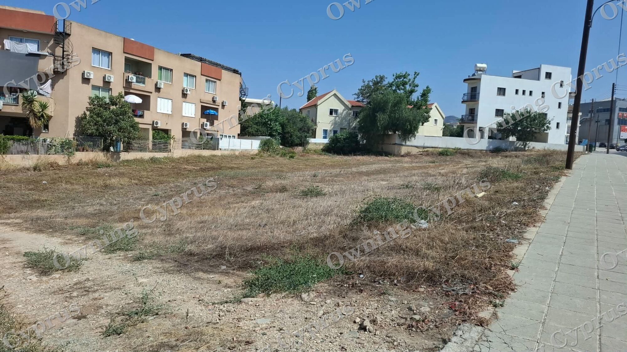 Field in Paphos